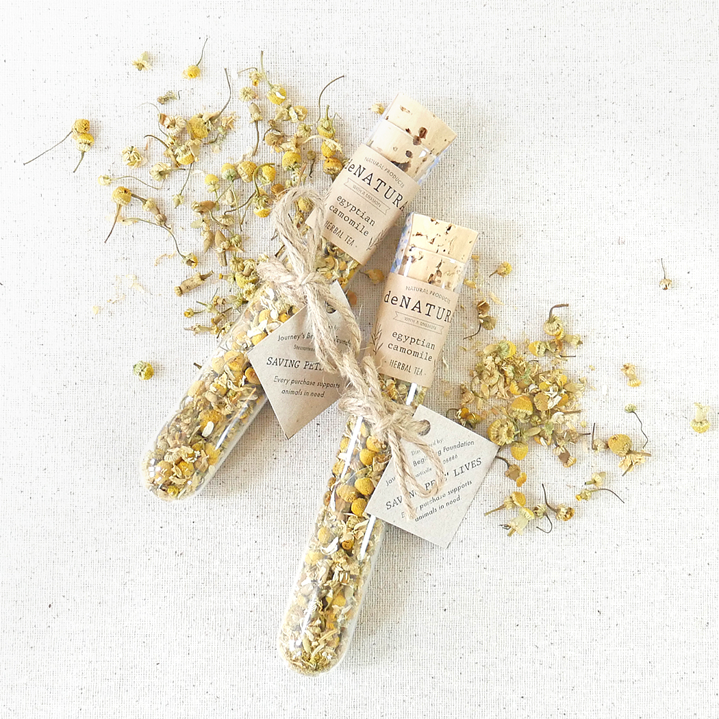 egyptian camomile in a glass tube